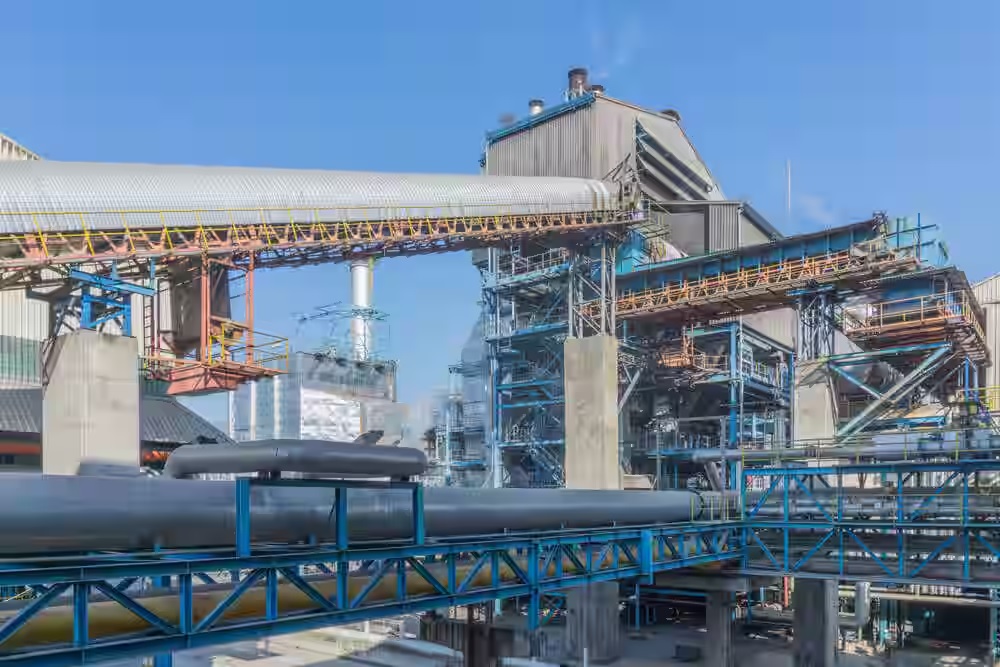 Sugar Plant